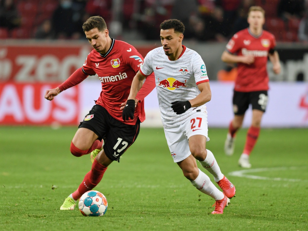 的表现都可 的表现都可